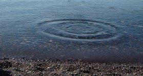 Brian 262 - Version 2